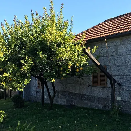 Quinta De Sandrigo アマランテ