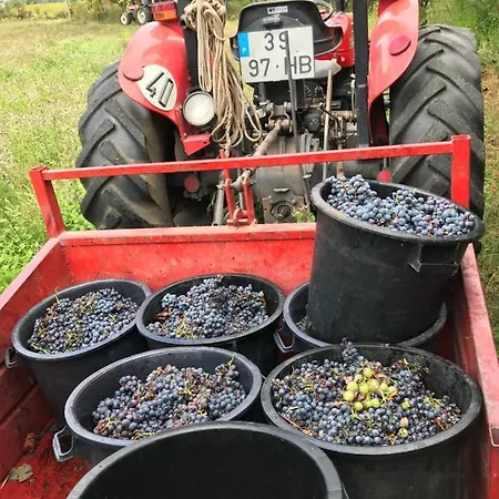 Quinta De Sandrigo *