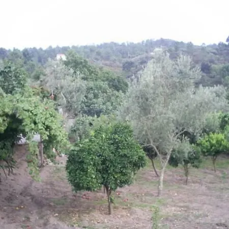 Quinta De Sandrigo アマランテ